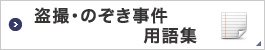 盗撮事件・のぞき事件　用語集